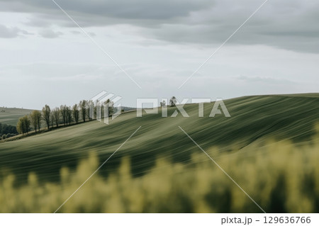 Rolling green hills with trees under a cloudy sky in a serene landscape 129636766