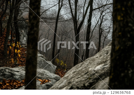 Autumn landscape featuring rocky terrain and bare trees in a foggy forest setting Autumn landscape featuring rocky terrain and bare trees in a foggy forest setting 129636768