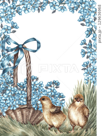 Easter card. Cute chicks on the grass surrounded by forget-me-nots and a wicker basket with flowers. Hand-drawn watercolor illustration. For making greeting cards and Easter invitations. For packaging 129636968