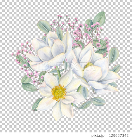 Watercolor bouquet of white lotuses, pink gypsophila, and eucalyptus leaves on isolated background. Water lilies, baby breath plant, leaves illustration for wedding invitations, feminine packaging. 129637342