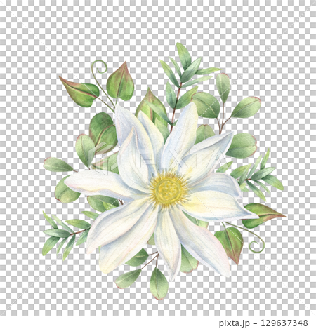 Watercolor bouquet with white water lily and green climbing plants on isolated background. Lotus flower head, leaves illustration for for wedding invitations, birthday cards, beauty, spa poster 129637348