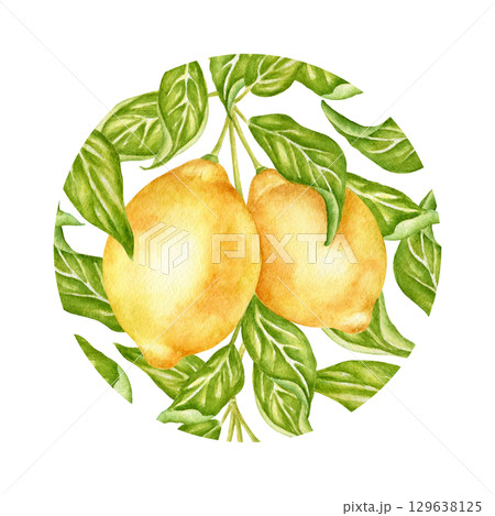 Lemon fruit on a branch with leaves, round botanical watercolor drawing. Juicy citrus fruits, circular ornament. Design element for posters, emblems, logos, labels, and fabric prints. 129638125