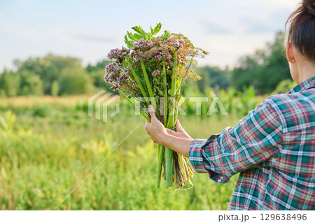 Woman holding summer bouquet of vegetables herbs in garden Woman holding summer bouquet of vegetables herbs in garden 129638496