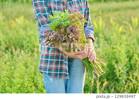 Woman holding summer bouquet of vegetables herbs in garden Woman holding summer bouquet of vegetables herbs in garden 129638497