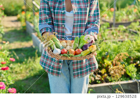Basket with different fresh vegetables herbs in woman's hands outdoor 129638528