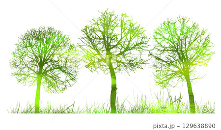 Green trees in the park. hand drawn. Not AI, Vector illustration 129638890