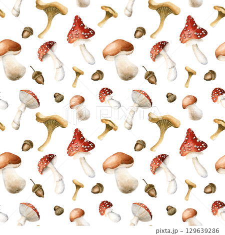 Mushrooms and oak acorns. Autumn forest boletus fly agaric chanterelles Watercolor hand painted floral seamless pattern on white background for fall cozy fabric prints cute home textile wrapping paper Mushrooms and oak acorns. Autumn forest boletus fly agaric chanterelles Watercolor hand painted floral seamless pattern on white background for fall cozy fabric prints cute home textile wrapping paper 129639286