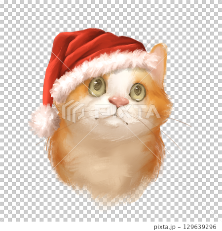 Delightful hand-drawn illustration of an orange and white cat with green eyes, wearing a festive red Santa hat. Perfect for Christmas cards, prints, and holiday decor 129639296