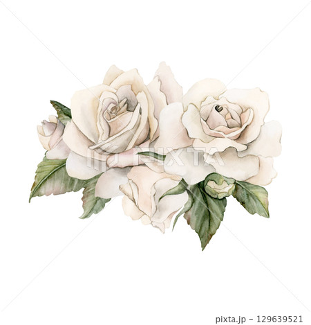 Roses with buds and leaves. White garden flower arrangement. Watercolor hand painted floral isolated illustration for wedding design mother's day card home textile fabric porcelain crockery label logo Roses with buds and leaves. White garden flower arrangement. Watercolor hand painted floral isolated illustration for wedding design mother's day card home textile fabric porcelain crockery label logo 129639521