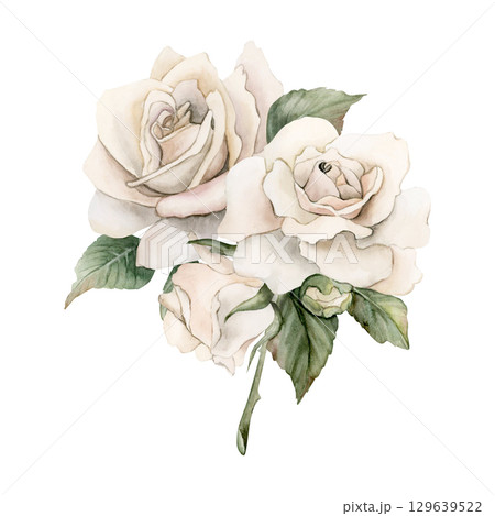 Rose on stem with bud and leaves. White garden flower arrangement. Watercolor hand painted floral isolated illustration for wedding design mother's day card home textile fabric crockery label logo Rose on stem with bud and leaves. White garden flower arrangement. Watercolor hand painted floral isolated illustration for wedding design mother's day card home textile fabric crockery label logo 129639522