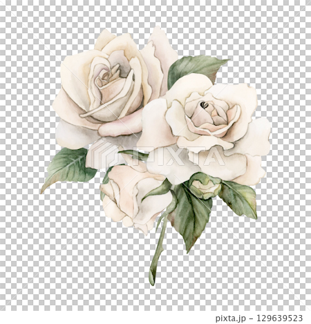 Rose on stem with bud and leaves. White garden flower arrangement. Watercolor hand painted floral isolated illustration for wedding design mother's day card home textile fabric crockery label logo 129639523