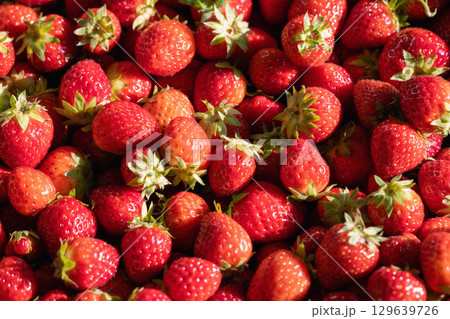 natural fresh strawberries natural fresh strawberries 129639726