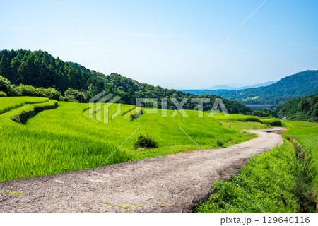 夏の田園風景【坂本の棚田】（三重県 亀山市） 129640116