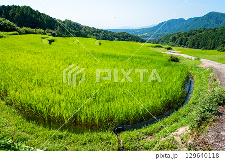 夏の田園風景【坂本の棚田】（三重県 亀山市） 129640118