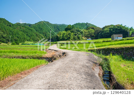 夏の田園風景【坂本の棚田】(三重県 亀山市) 夏の田園風景【坂本の棚田】(三重県 亀山市) 129640128