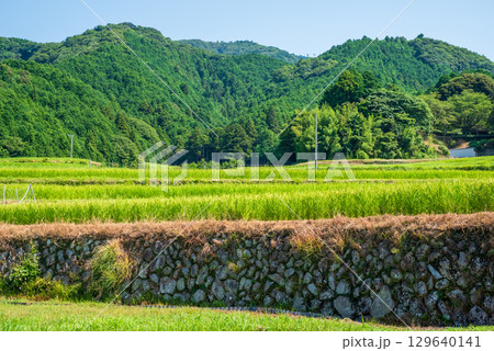 石垣のある棚田【坂本棚田】（三重県 亀山市） 129640141