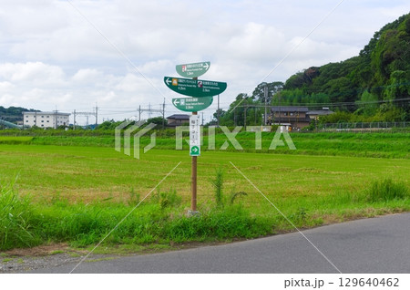 千葉県佐倉市金メダルジョギングロード周辺2025年8月 129640462