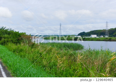 千葉県佐倉市鹿島川2025年8月 129640465