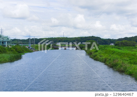 千葉県佐倉市鹿島川2025年8月 129640467