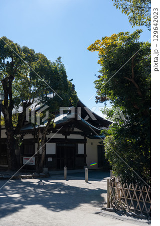 神奈川 鎌倉 鶴岡八幡宮 神奈川 鎌倉 鶴岡八幡宮 129642023