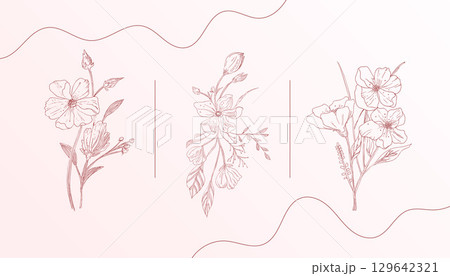 pack of line art elegant flower and leaves design banner pack of line art elegant flower and leaves design banner 129642321