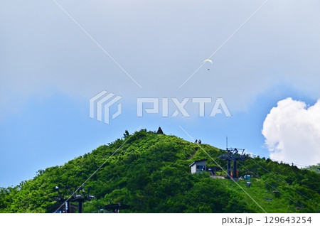 白馬五竜高山植物園のロックガーデンから見上げる地蔵の頭 129643254