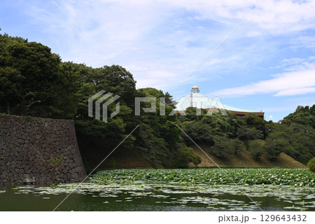 お城の堀にかかる橋 お城の堀にかかる橋 129643432