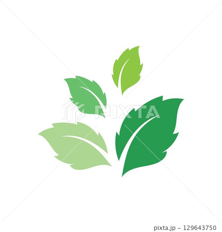Logos of green Tree leaf ecology nature element vector Logos of green Tree leaf ecology nature element vector 129643750
