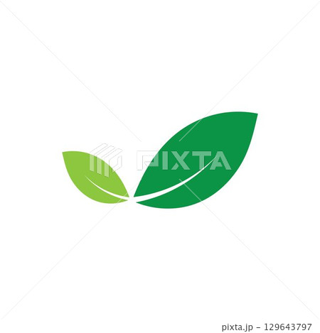 Logos of green Tree leaf ecology nature element vector Logos of green Tree leaf ecology nature element vector 129643797
