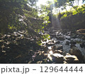 川の流れと落ち葉 129644444