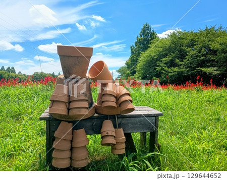 植木鉢の人 植木鉢の人 129644652