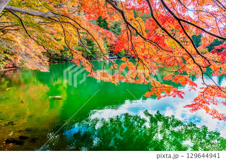 山梨 紅葉に染まる南伊奈ヶ湖 山梨 紅葉に染まる南伊奈ヶ湖 129644941
