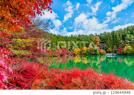 山梨 紅葉に染まる南伊奈ヶ湖 山梨 紅葉に染まる南伊奈ヶ湖 129644946