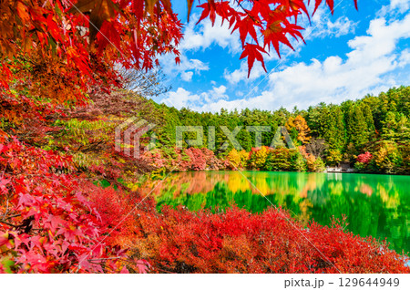 山梨 紅葉に染まる南伊奈ヶ湖 山梨 紅葉に染まる南伊奈ヶ湖 129644949