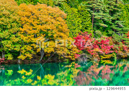 山梨 紅葉に染まる南伊奈ヶ湖 山梨 紅葉に染まる南伊奈ヶ湖 129644955