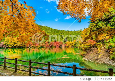 山梨 紅葉に染まる南伊奈ヶ湖 山梨 紅葉に染まる南伊奈ヶ湖 129644962