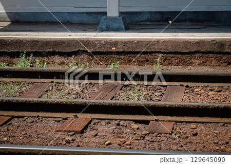 線路は続くよ 線路は続くよ 129645090