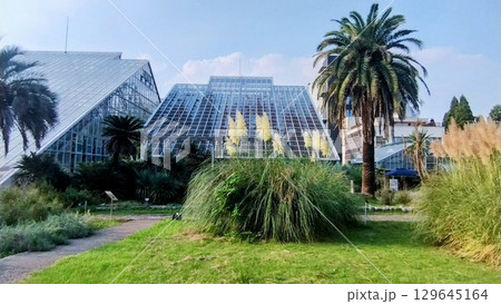 筑波実験植物園 129645164