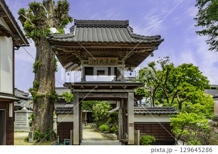 浜坂 あじわら小径 西光寺 山門 兵庫県新温泉町 浜坂 あじわら小径 西光寺 山門 兵庫県新温泉町 129645286