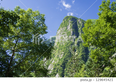 新緑に覆われた岩 129645421