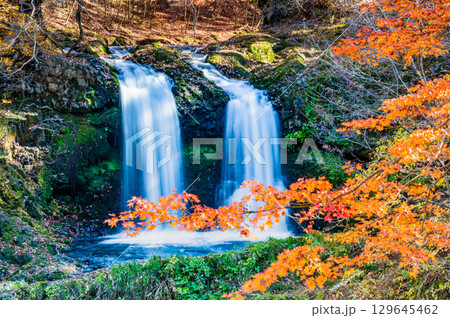 山梨 紅葉に染まる鐘山の滝 129645462