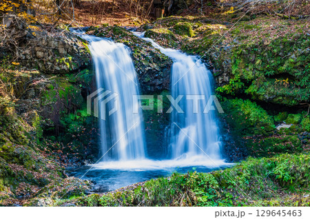 山梨 紅葉に染まる鐘山の滝 山梨 紅葉に染まる鐘山の滝 129645463