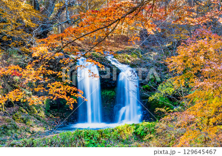 山梨 紅葉に染まる鐘山の滝 129645467