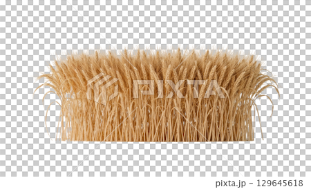 Golden wheat sheaf with copy space for agricultural design. isolated on transparent background cutout Golden wheat sheaf with copy space for agricultural design. isolated on transparent background cutout 129645618