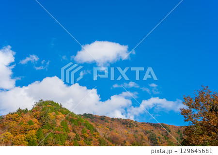せせらぎ街道の紅葉《岐阜県 高山市 清見町》 せせらぎ街道の紅葉《岐阜県 高山市 清見町》 129645681