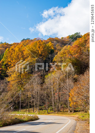 せせらぎ街道の紅葉《岐阜県 高山市 清見町》 129645693