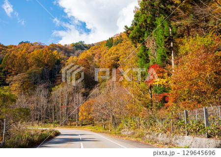 せせらぎ街道の紅葉《岐阜県 高山市 清見町》 129645696