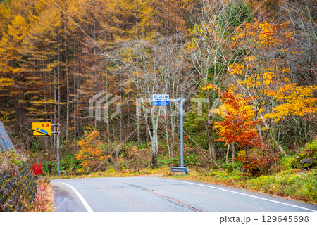 せせらぎ街道・西ウレ峠の紅葉《岐阜県 高山市 清見町》 129645698