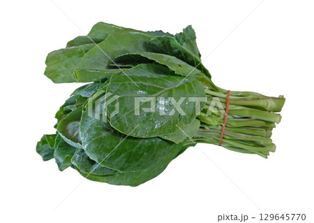Chinese broccoli or Chinese kale vegetable Chinese broccoli or Chinese kale vegetable 129645770