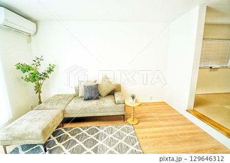 ペット同居型デザイナーズ住宅のお洒落なリビング 129646312